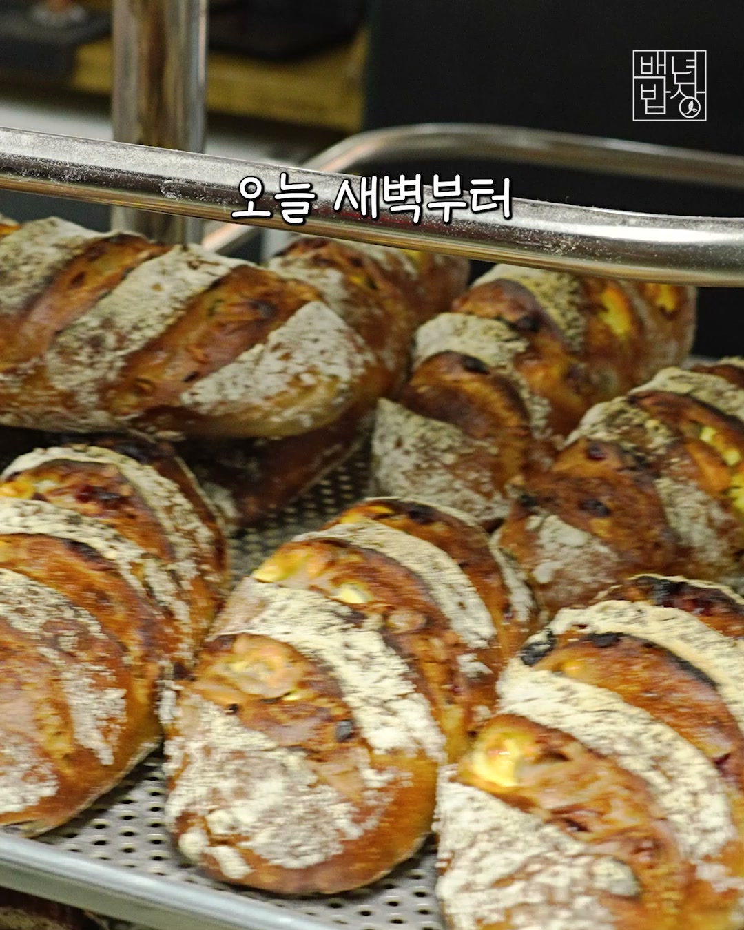 통밀로 만든 건강한 비건 통밀빵