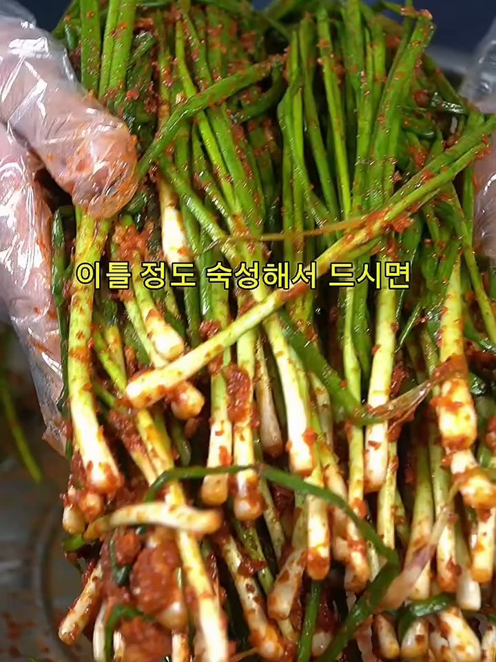 믹서기에 깍둑 썬 양파와 사과, 멸치액젓, 새우젓, 통마늘, 찬밥, 생강, 매실액을 넣고 곱게 갈아줍니다.