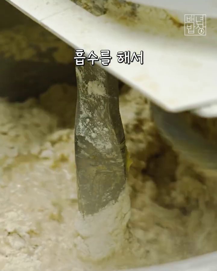 반죽을 12시간 동안 저온에서 숙성시킵니다.