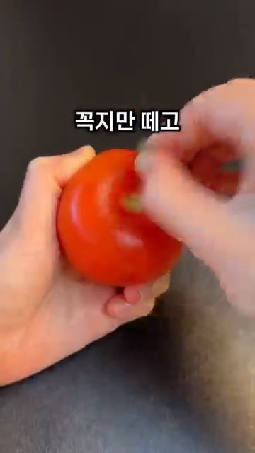 토마토의 꼭지를 제거한 후, 십자 모양으로 칼집을 크게 냅니다.